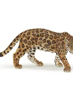 Jaguar Papo